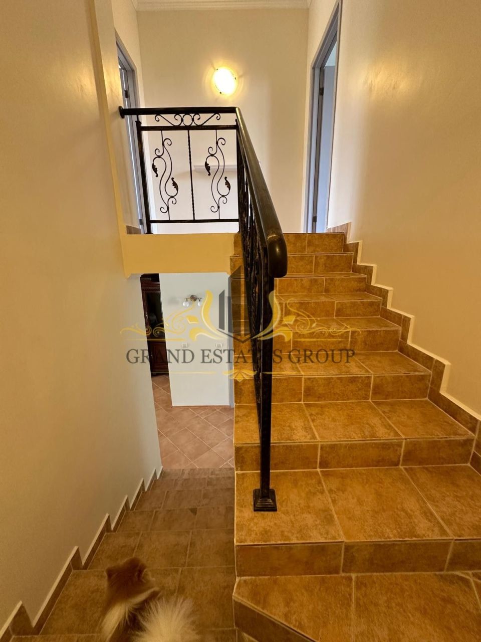 Villa en Elenite, Bulgaria, 147 000 m² - imagen 11