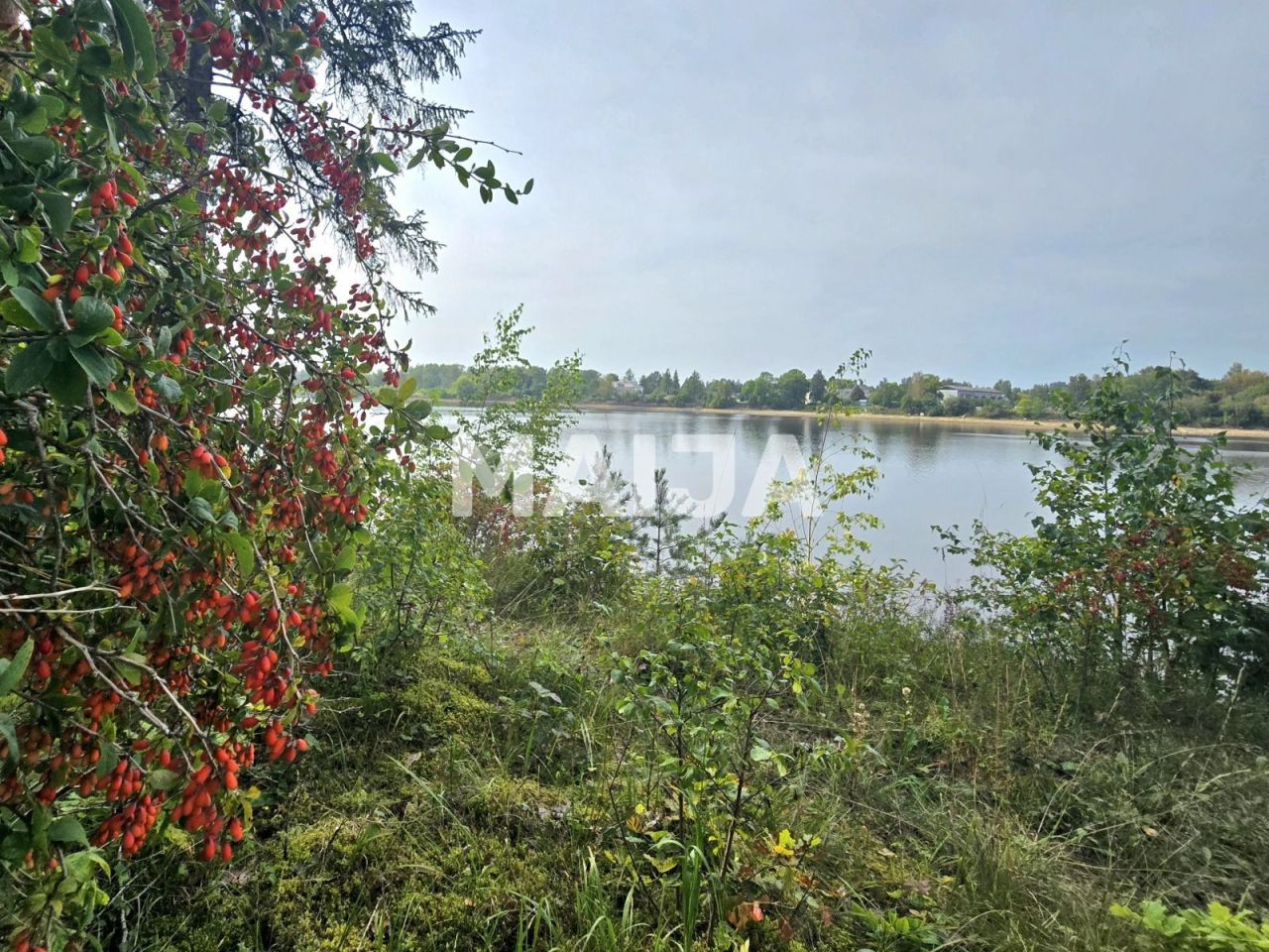 Grundstück Jekabpils, Lettland, 60 100 m² - Foto 4