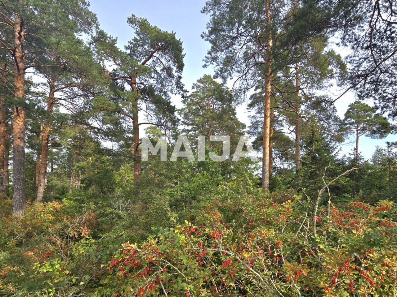 Grundstück Jekabpils, Lettland, 60 100 m² - Foto 6