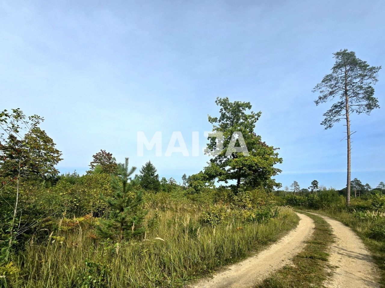 Grundstück Jekabpils, Lettland, 60 100 m² - Foto 9