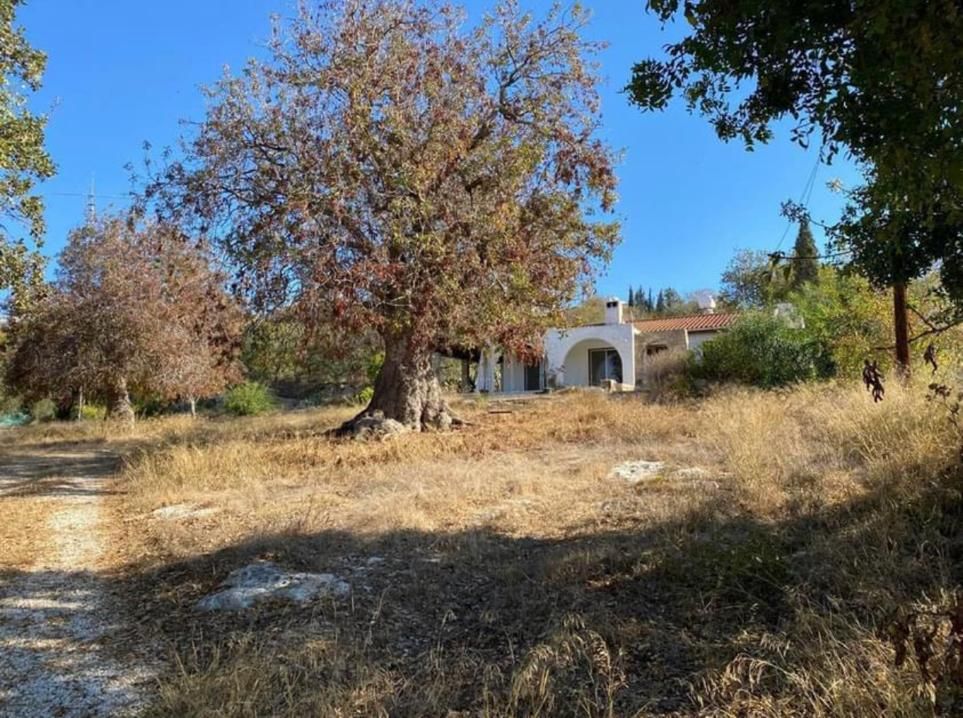 Land in Empa, Cyprus, 2 676 m² - picture 2