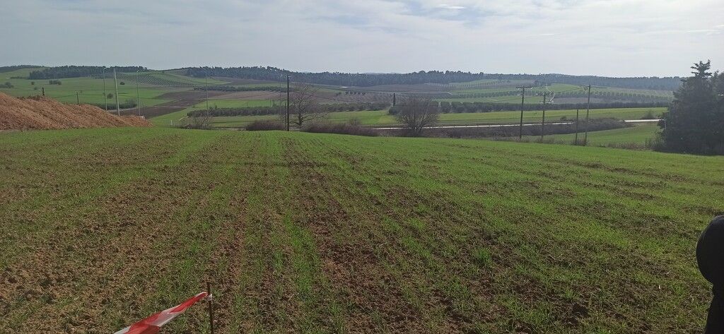 Terrain à Kassandra, Grèce, 8 000 m² - image 3