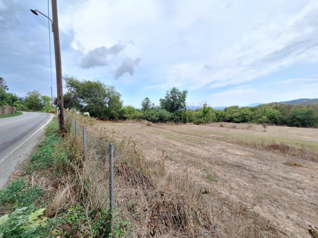 Terrain à Corfou, Grèce, 8 000 m² - image 4