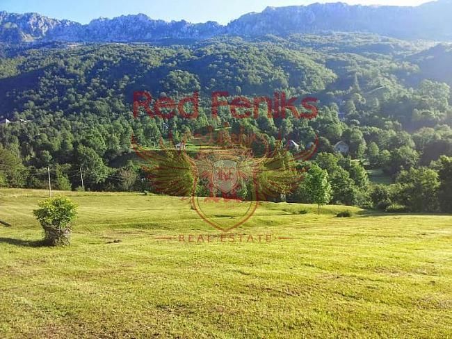 Land Central region, Montenegro, 22 050 m² - picture 1