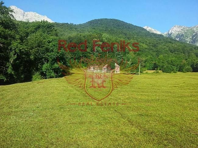 Terreno Central region, Montenegro, 22 050 m² - imagen 2