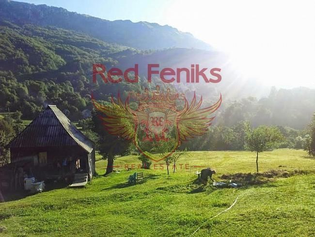 Terreno Central region, Montenegro, 22 050 m² - imagen 3