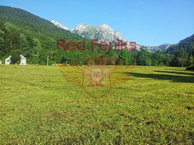 Terreno Central region, Montenegro, 22 050 m² - imagen 4