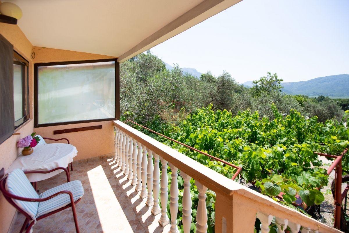 Propiedad comercial en Budva, Montenegro, 500 m² - imagen 6