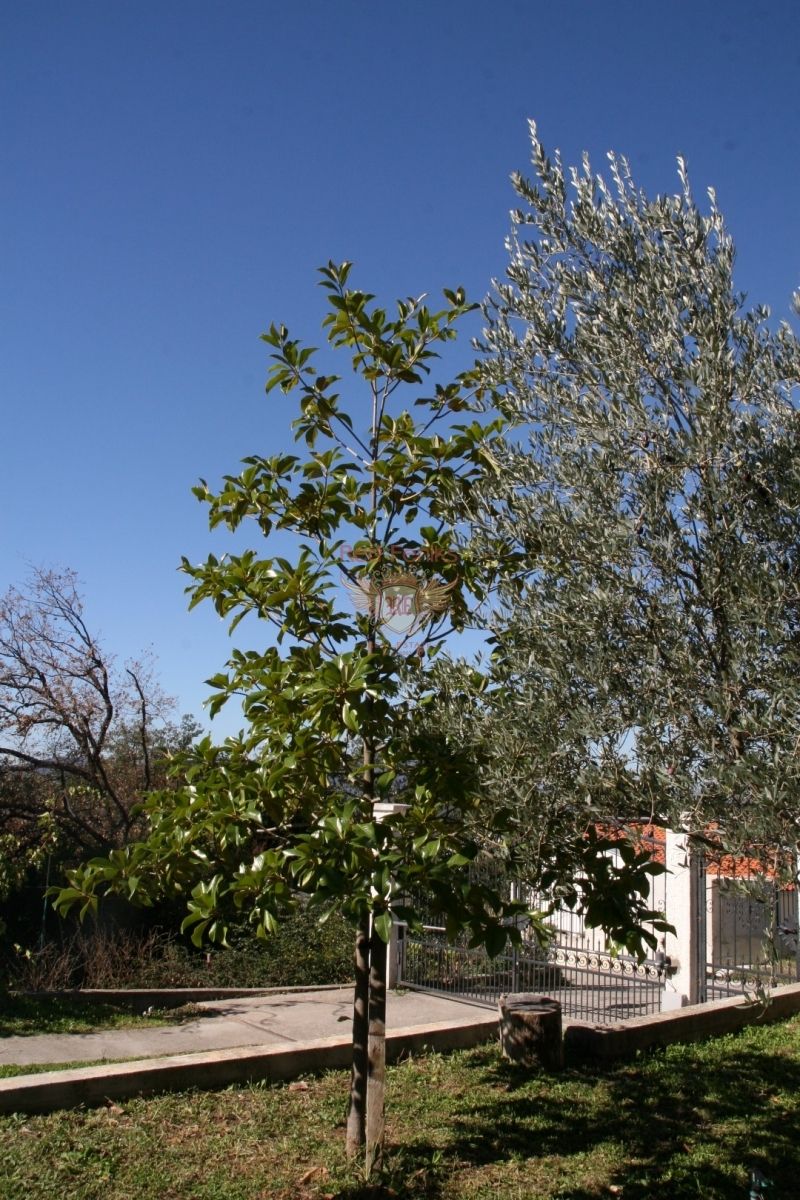 House in Tivat, Montenegro, 450 m² - picture 13