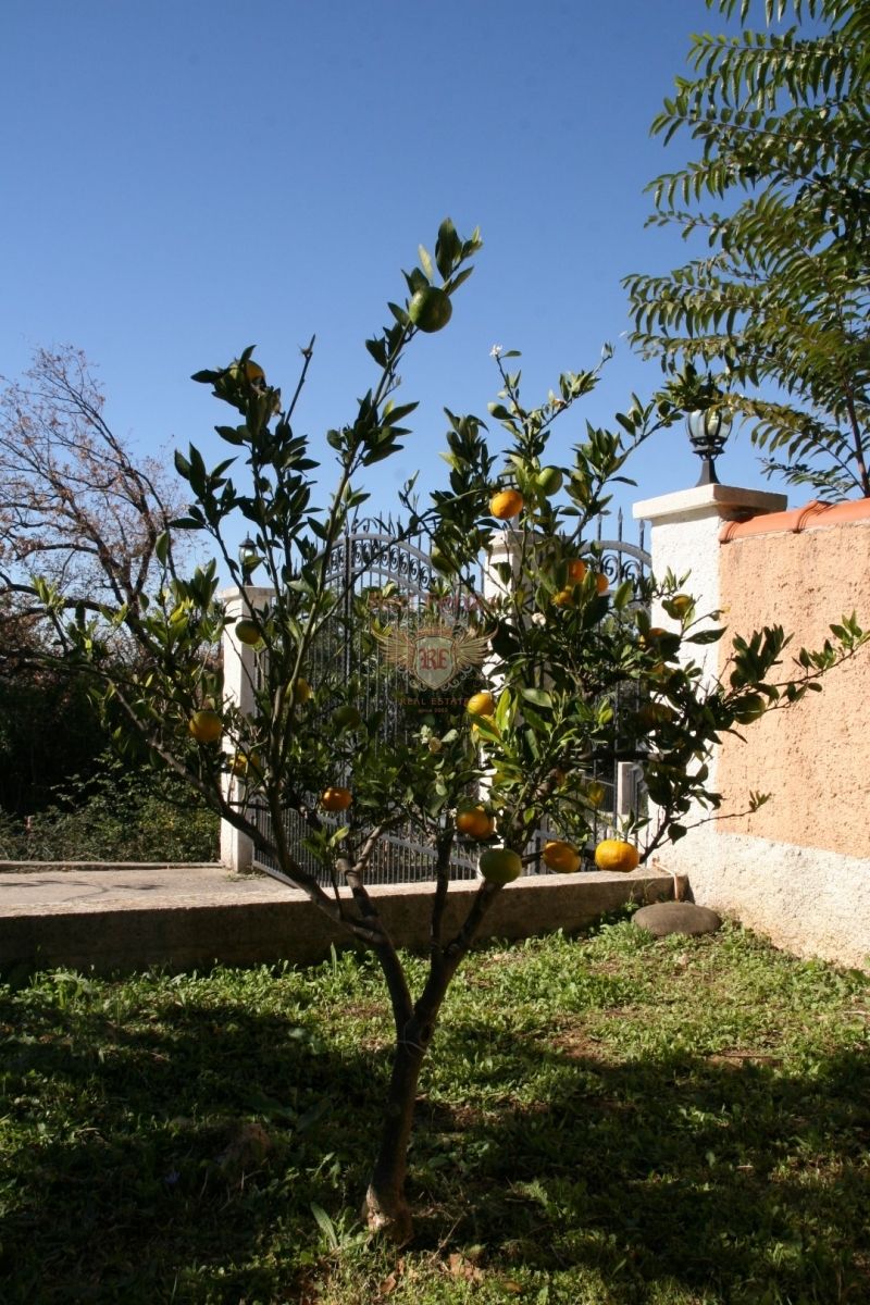 House in Tivat, Montenegro, 450 m² - picture 15