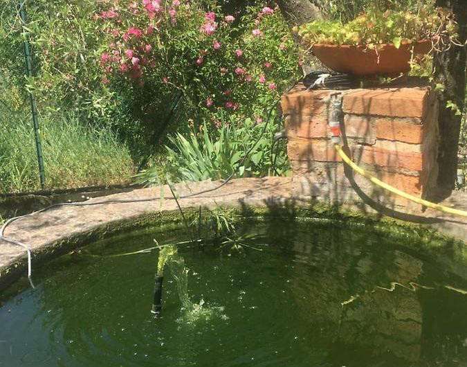 Villa a Passignano sul Trasimeno, Italia, 300 m² - foto 10