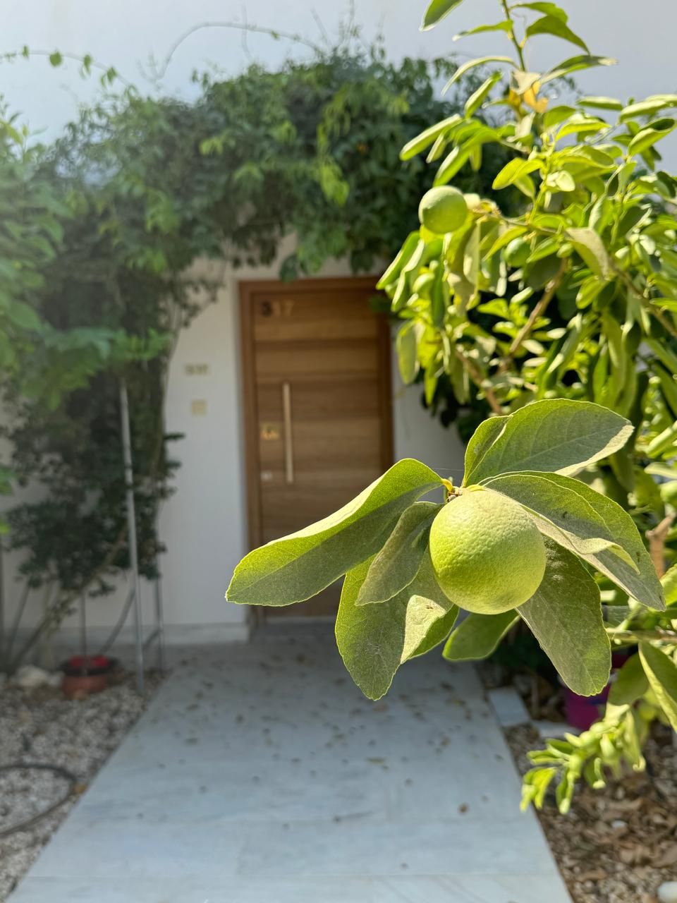 Townhouse in Paphos, Cyprus, 90 m² - picture 11