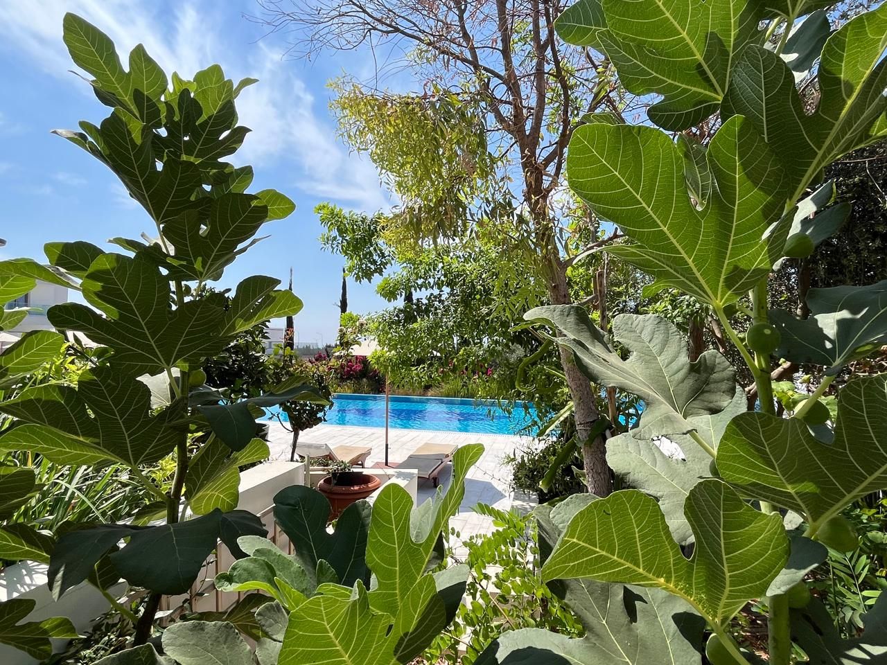 Townhouse in Paphos, Cyprus, 90 m² - picture 14