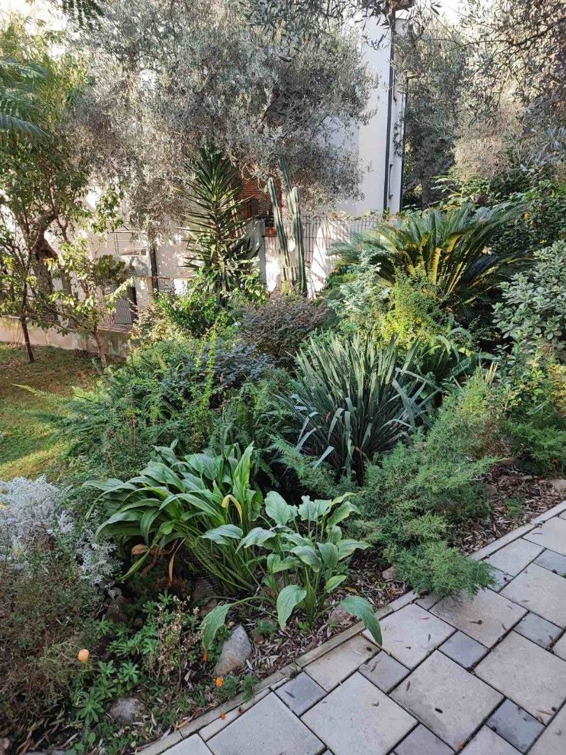 Casa en el Bar, Montenegro, 350 m² - imagen 4