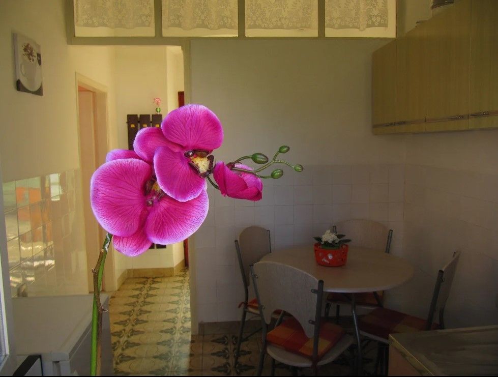 Casa en Pula, Croacia, 60 m² - imagen 10