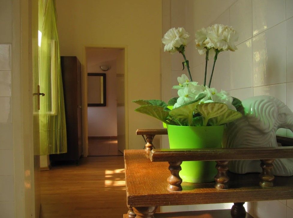 Casa en Pula, Croacia, 60 m² - imagen 19