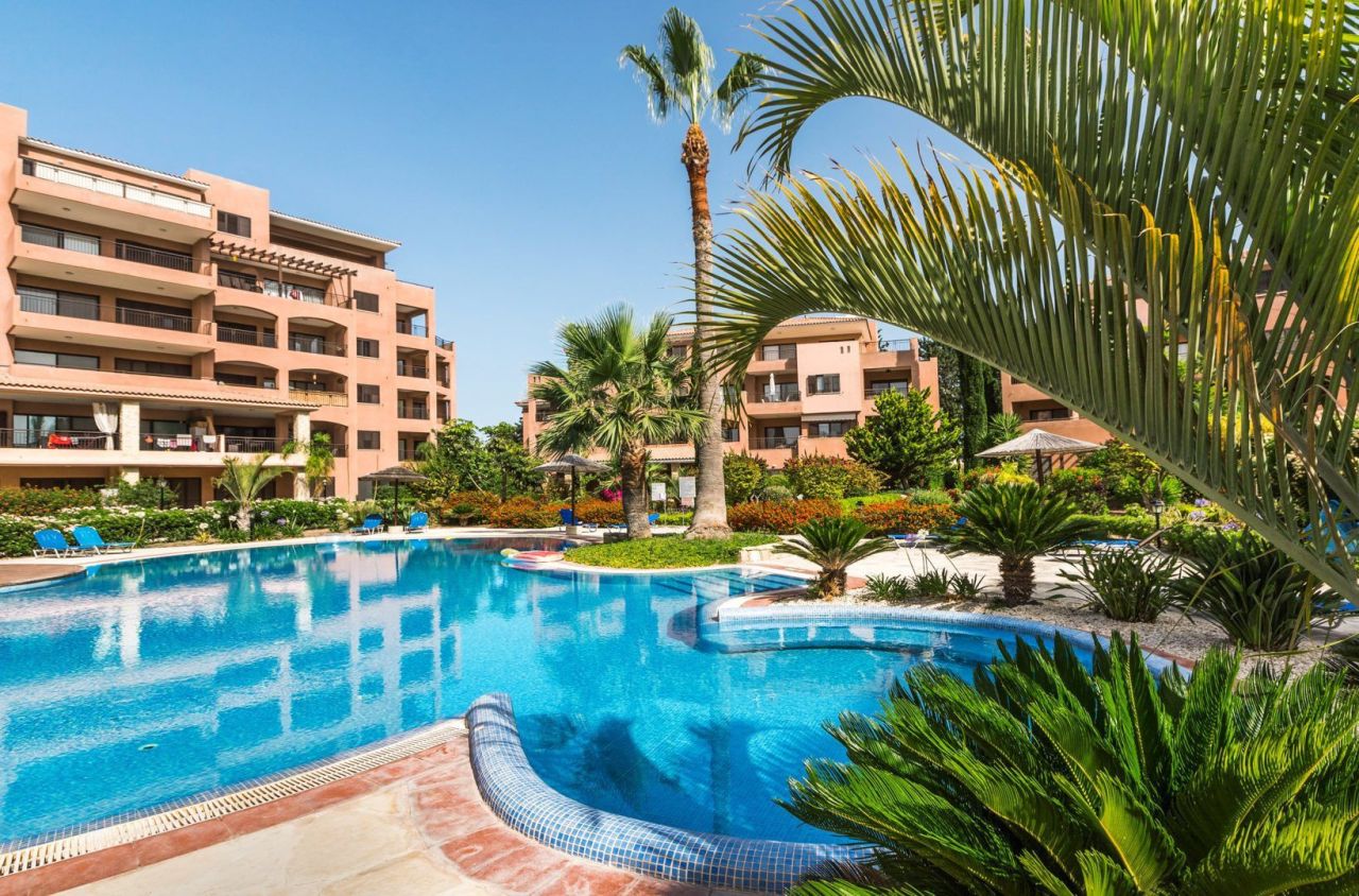 House in Paphos, Cyprus - picture 1