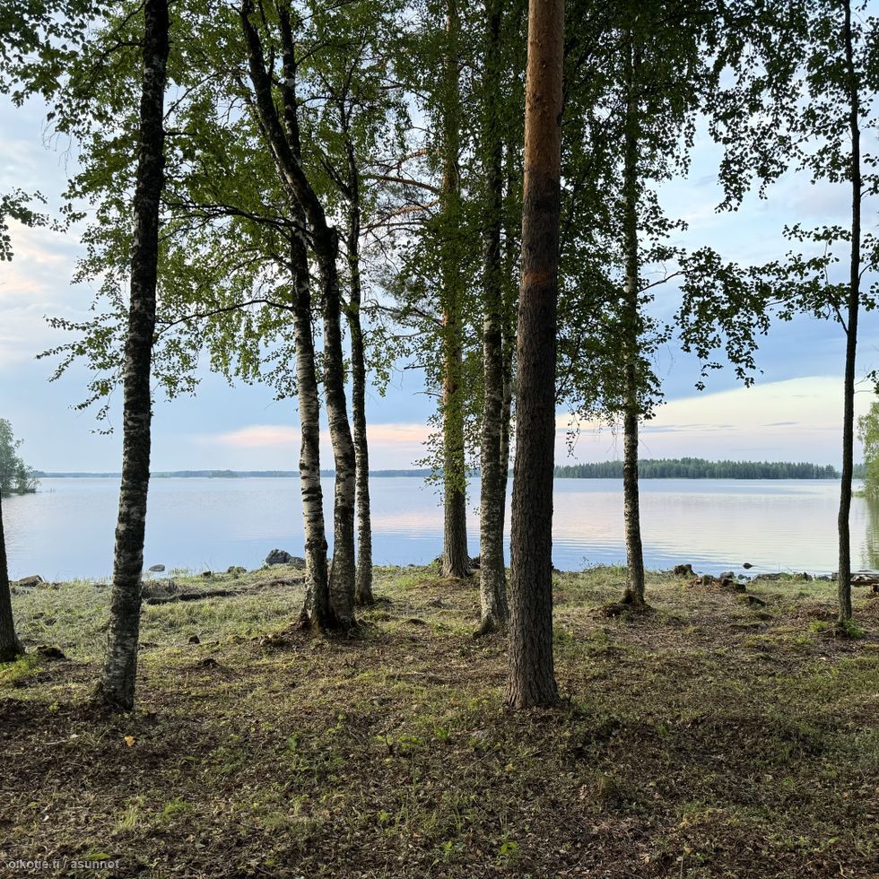 Villa en Kitee, Finlandia, 41 m² - imagen 4