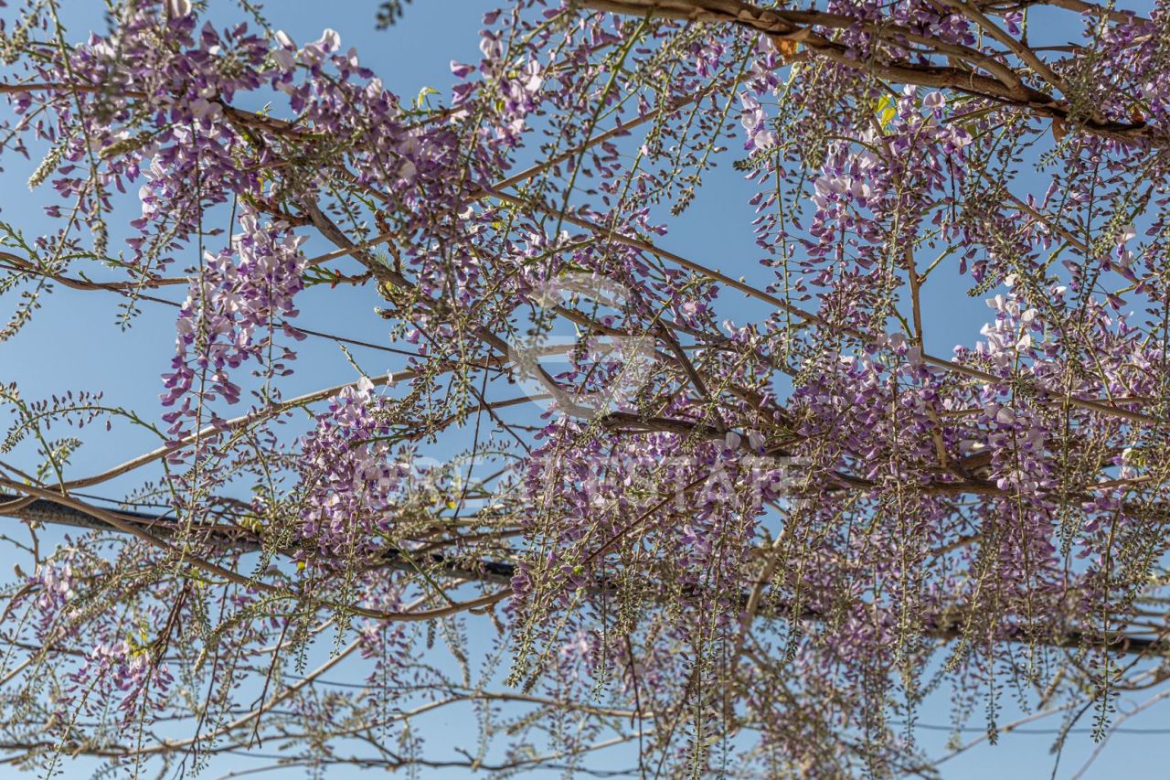 Casa en Citta della Pieve, Italia, 236.1 m² - imagen 16