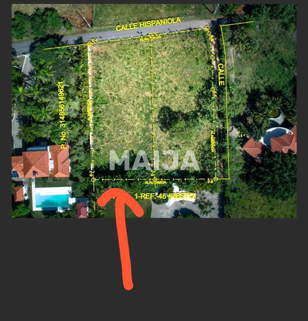 Land in Cabarete, Dominican Republic, 650 m² - picture 3