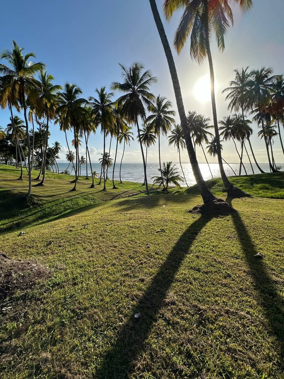 Land in Samana, Dominican Republic, 600 m² - picture 2