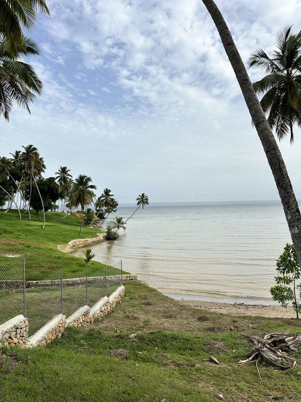 Land in Samana, Dominican Republic, 600 m² - picture 3