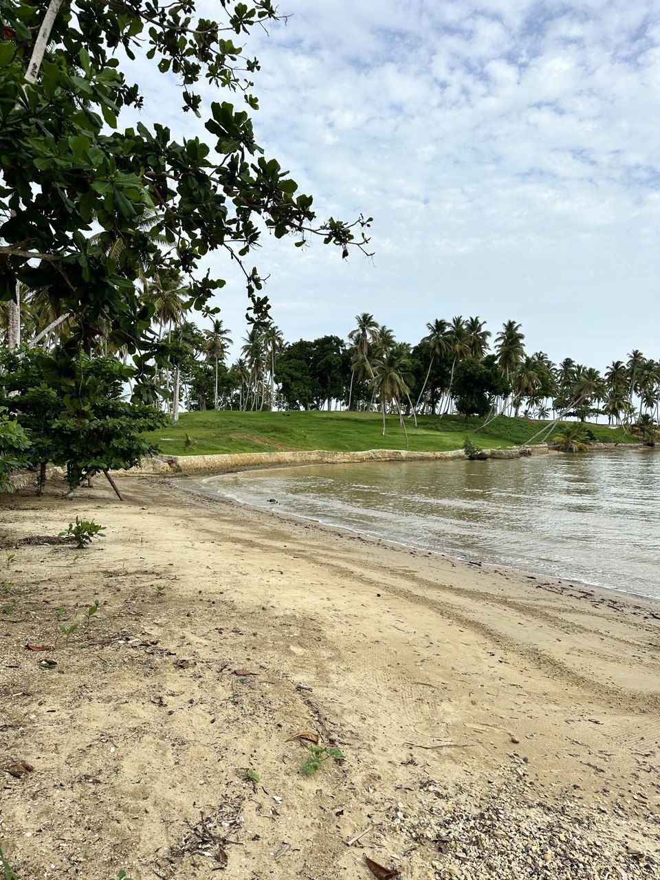 Land in Samana, Dominican Republic, 600 m² - picture 4