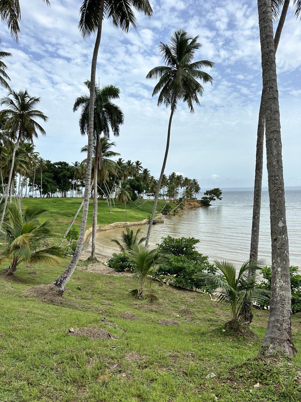 Land in Samana, Dominican Republic, 600 m² - picture 6