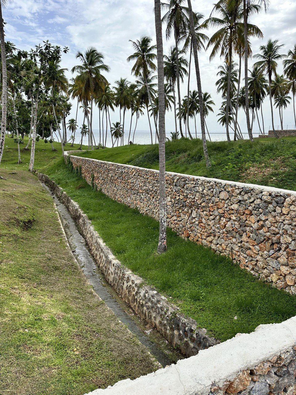 Land in Samana, Dominican Republic, 600 m² - picture 7