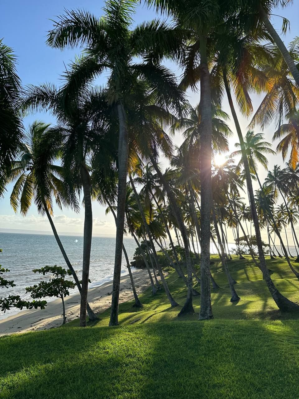 Land in Samana, Dominican Republic, 600 m² - picture 9