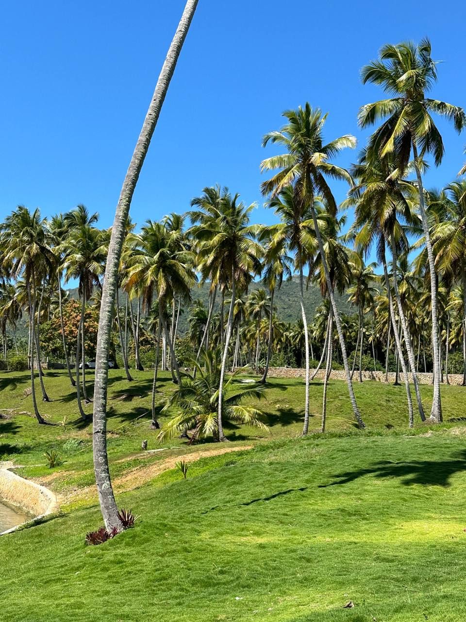 Land in Samana, Dominican Republic, 600 m² - picture 13