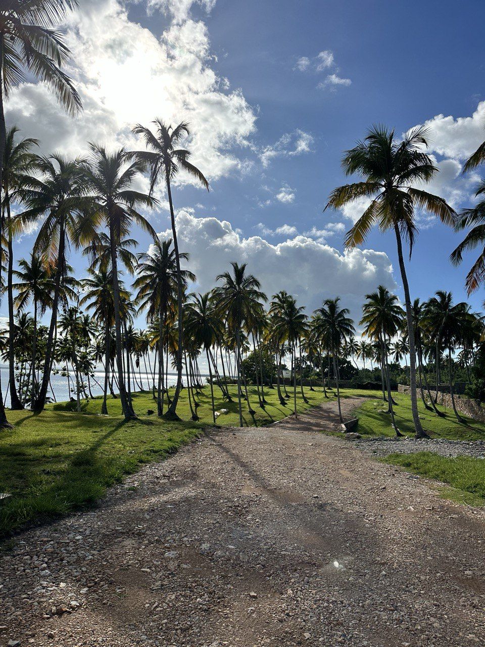 Land in Samana, Dominican Republic, 600 m² - picture 14