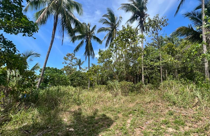 Terrain à Ko Samui, Thaïlande, 6 000 m² - image 1