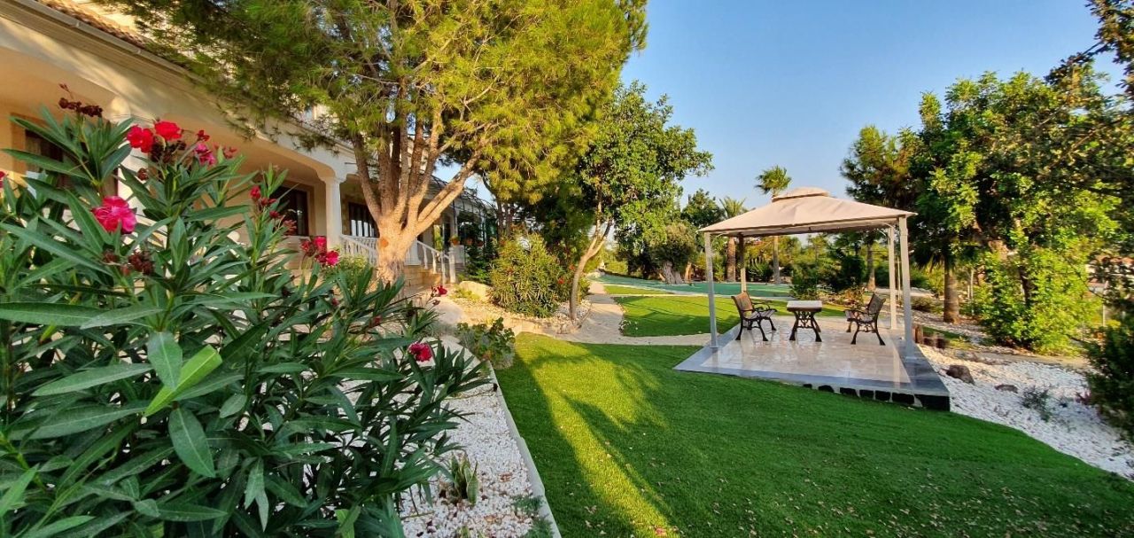 House in Larnaca, Cyprus, 850 m² - picture 15