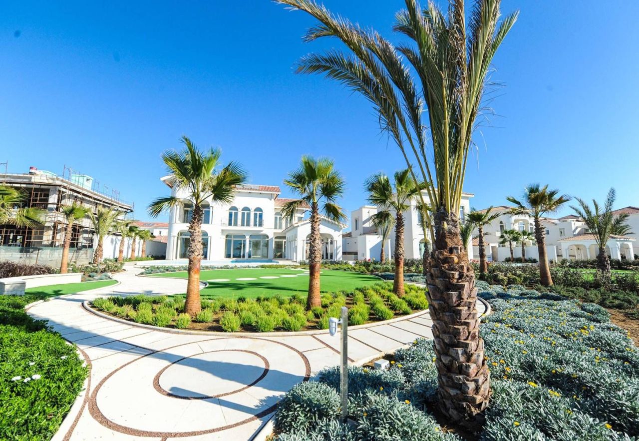 Maison à Larnaca, Chypre, 1 910 m² - image 15