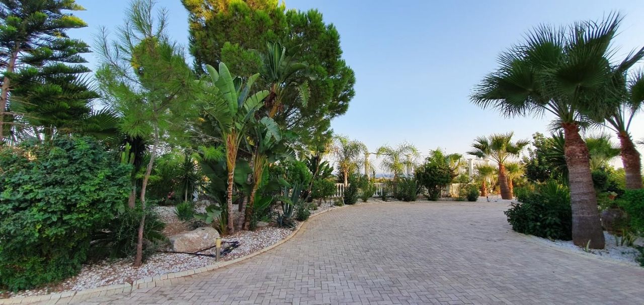 House in Larnaca, Cyprus, 850 m² - picture 17