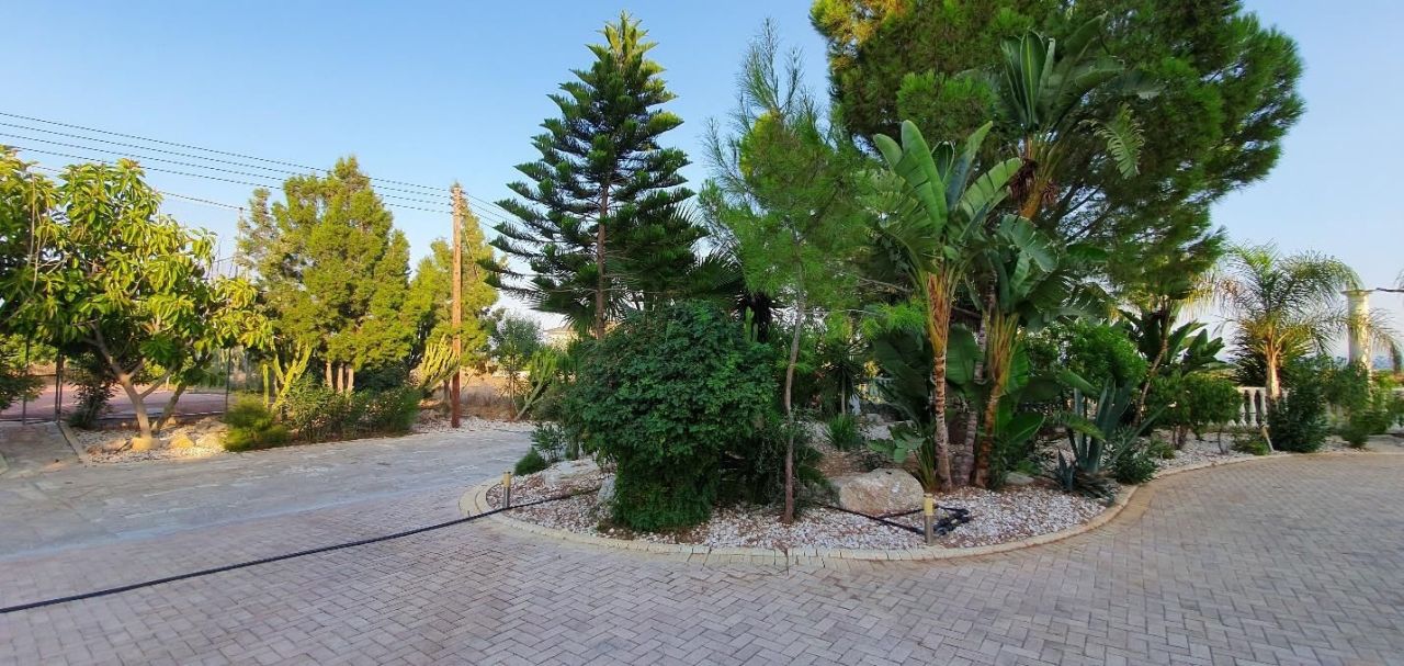 House in Larnaca, Cyprus, 850 m² - picture 18