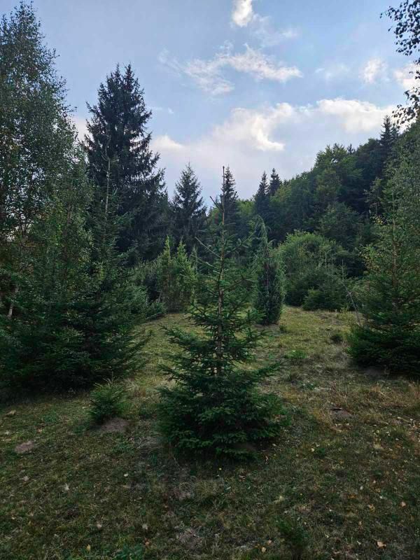 Terrain dans le Bijelo Polje, Monténégro, 100 000 m² - image 6