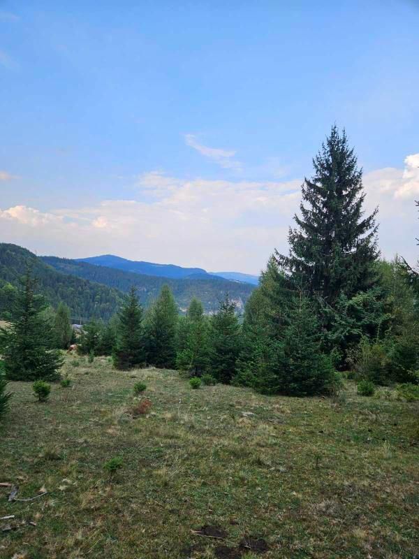 Terrain dans le Bijelo Polje, Monténégro, 100 000 m² - image 15