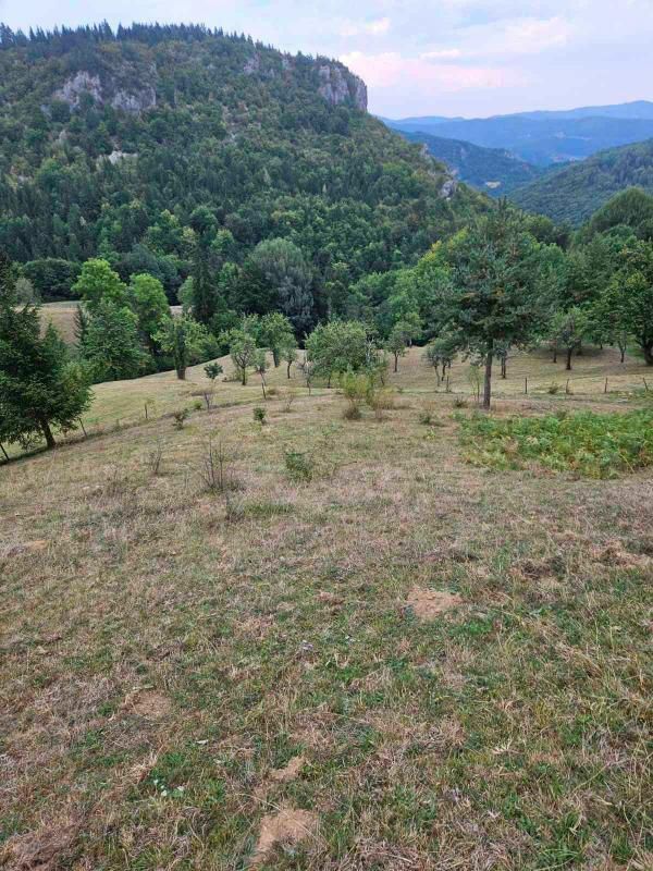 Terrain dans le Bijelo Polje, Monténégro, 100 000 m² - image 11