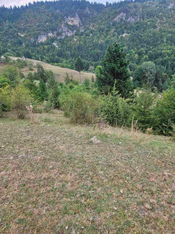 Terrain dans le Bijelo Polje, Monténégro, 100 000 m² - image 13