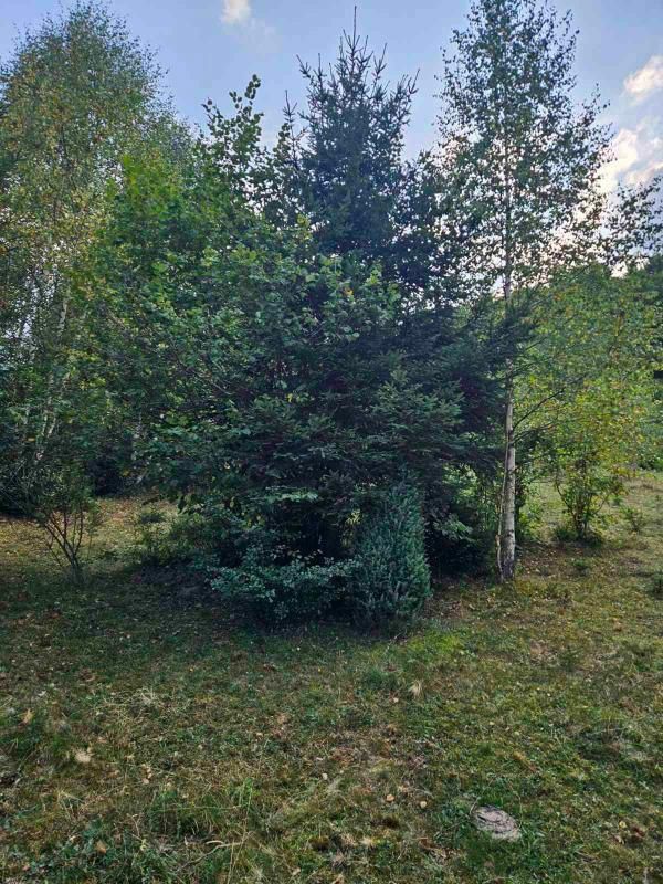 Terrain dans le Bijelo Polje, Monténégro, 100 000 m² - image 8