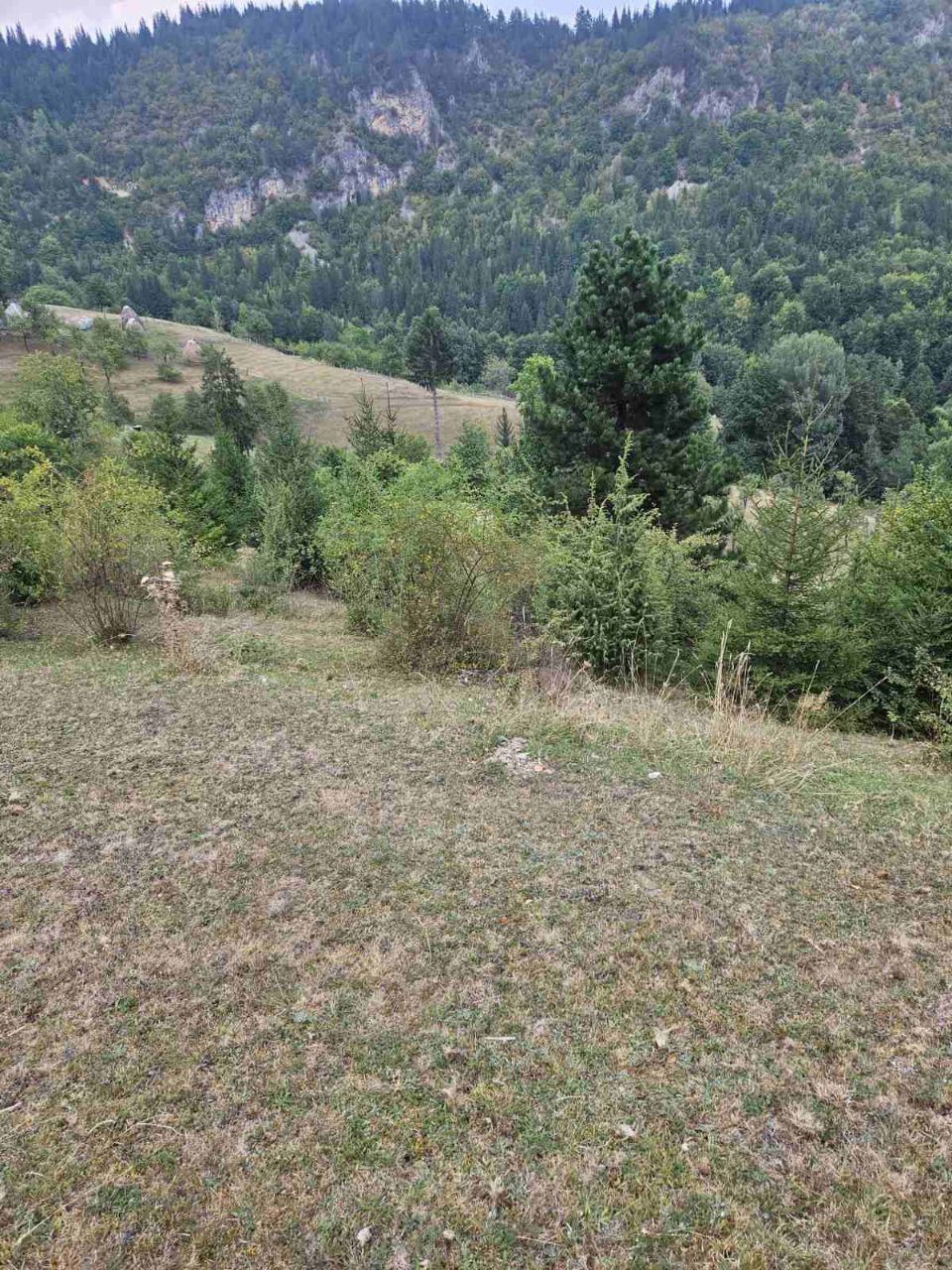 Terrain dans le Bijelo Polje, Monténégro, 100 000 m² - image 4