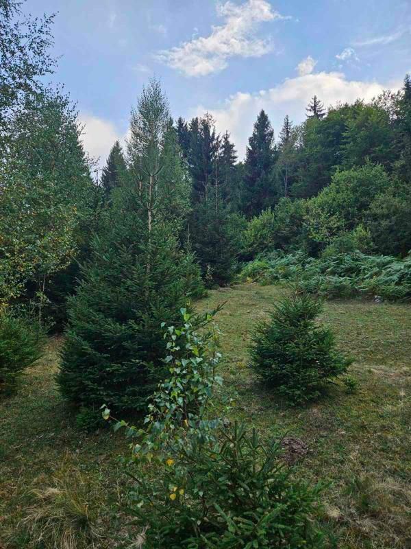 Terrain dans le Bijelo Polje, Monténégro, 100 000 m² - image 17