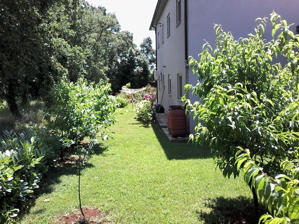 House in Umag, Croatia, 320 m² - picture 1