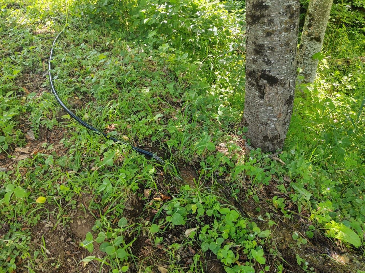 Land in Kolasin, Montenegro, 1 313 m² - picture 2