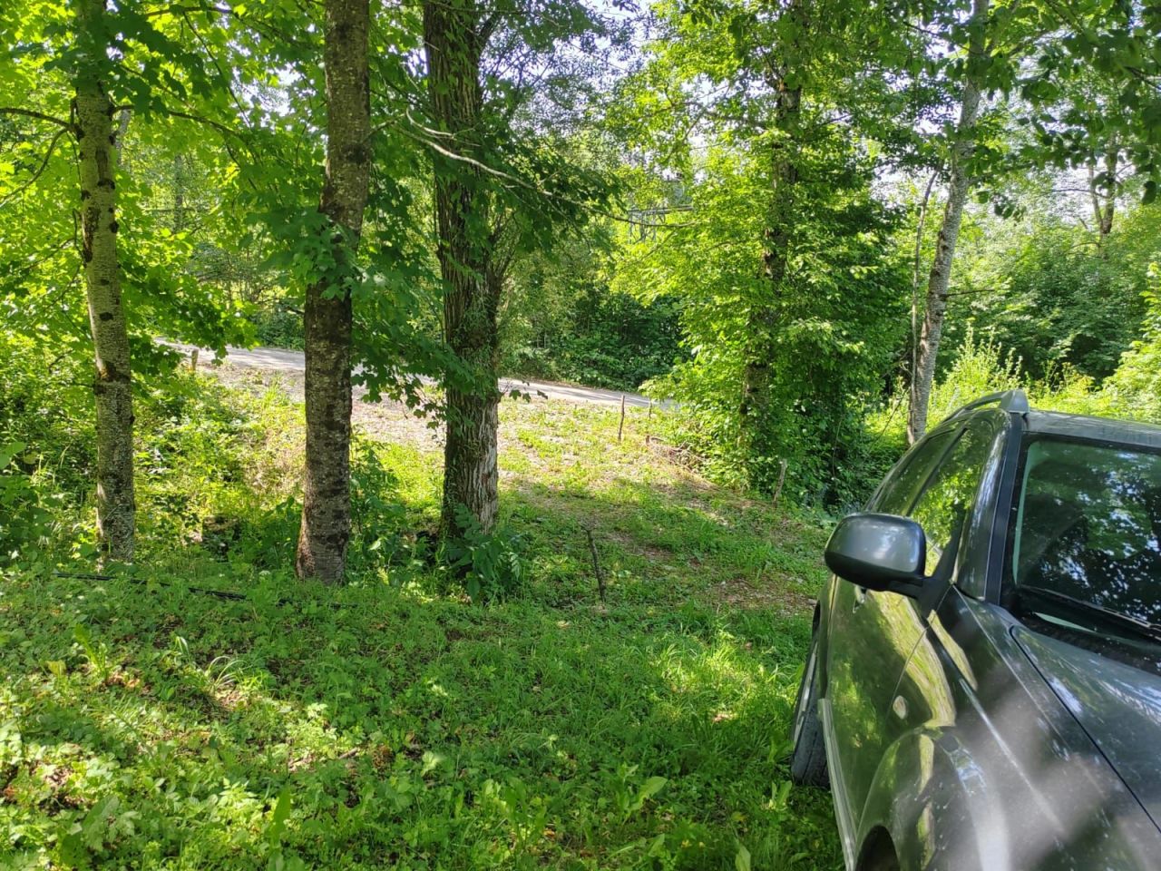 Land in Kolasin, Montenegro, 1 313 m² - picture 10