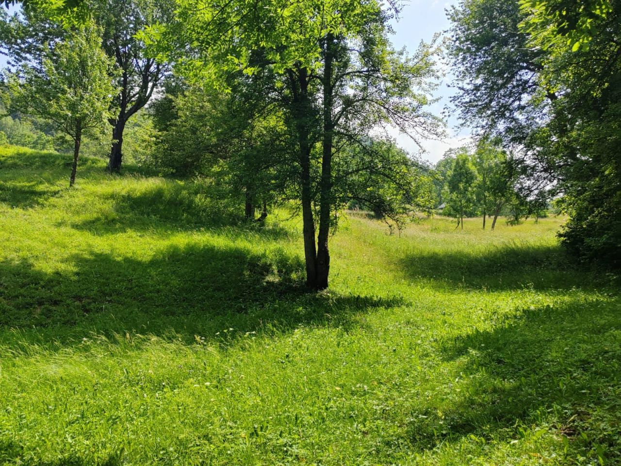 Land in Kolasin, Montenegro, 1 313 m² - picture 7