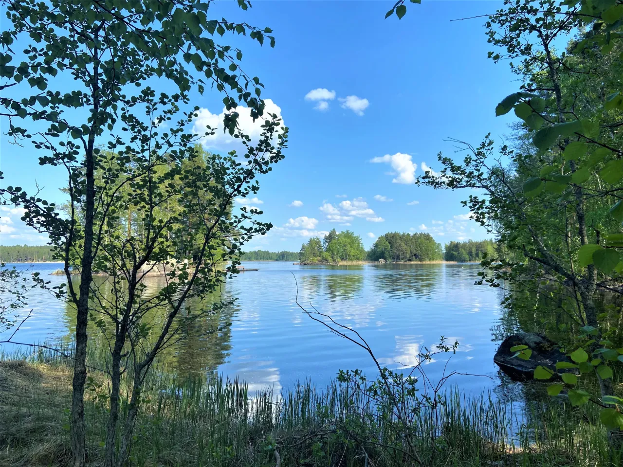 Terrain à Ruokolahti, Finlande, 30 500 m² - image 1