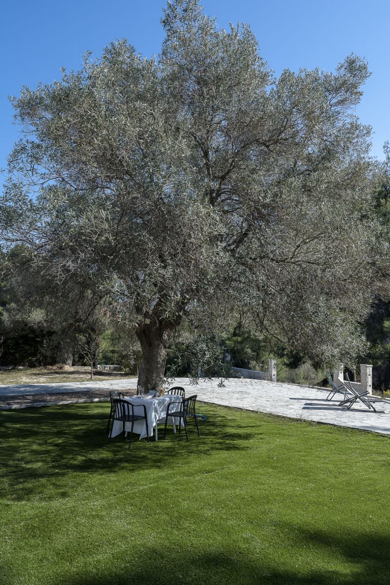 House in Chalkidiki, Greece, 150 m² - picture 4